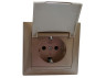 Socket with cover LEMANSO Sakura gold LMR1227