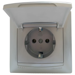 Socket with cover LEMANSO Sakura silver LMR1327