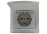 Socket with cover LEMANSO Sakura silver LMR1327