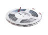 LED strip 2835-120led-8mm-12V 9.6W/m IP65 red