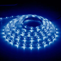 LED strip Feron LS604 12V 4.8W/m blue