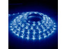 LED strip Feron LS604 12V 4.8W/m blue