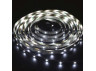 LED strip Feron LS613 12V 9.6W/m white (5 metres in a reel)