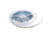 LED strip 2835-120led-8mm-12V 9W, IP20 S type 5500-6000K white 2 years warranty (pack of 5m) PROLUM