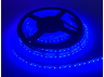 LED strip 2835-120led-8mm-12V 9.6W/m IP65 blue ST