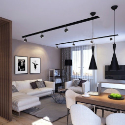 Track light Feron ML331 under the lamp white