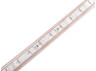 LED strip 5050-60led-10mm-220V 14.4W/m IP68 yellow LEDUA
