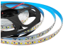LED strip 2835-180led-9.3mm-12V 14W/m IP20 3960LM/m 6500K Premium LMA9606 Lemanso