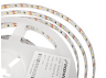 LED strip 2835-120led-8mm-12V 9.6W, IP20 cold white RISHANG 3 years warranty