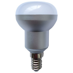 Lamp Lemanso R-39 40W matte