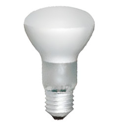 Lamp Lemanso R-63 60W matte