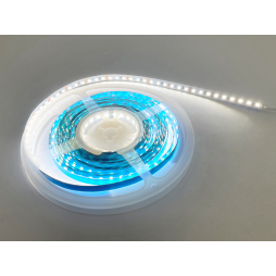 LED strip 3528-120led-8mm-12V 9.6W, IP20 white MOTOKO 3 years warranty