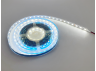 LED strip 5050-60led-10mm-12V,14.4W/m IP20 25-30lm double board white MOTOKO 3 years warranty