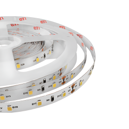 LED strip 3528-60led-8mm-12V 4.8W/m IP20 double board white MOTOKO 3 years warranty