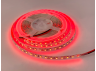 LED strip 3528-120led-8mm-12V 9.6W/m IP20 red MTK