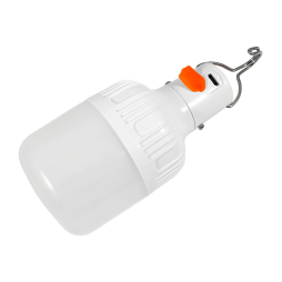 Lamp-lantern No. 1 battery 14500, with hook 3W 240LM 5V 400mAH 6500K Mini USB 30cm, 3 modes, 60*115mm