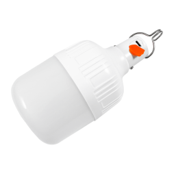 Lamp-lantern No. 3 battery 14500, with hook 5W 400LM 5V 400mAH 6500K Mini USB 30cm, 3 modes, 80*140mm