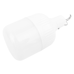 Lamp-lantern No. 7 battery 18650 with hook 8W 800LM 1200mAH 6500K Mini USB 30cm, 3 modes, 80*140mm