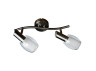 Spot light Lemanso ST137-2 double E14 / 9W matt chrome