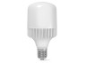 LED lamp VIDEX A118 50W E40 5000K