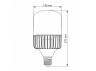LED lamp VIDEX A145 100W E40 5000K