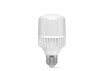 LED lamp VIDEX A65 20W E27 5000K