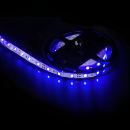 Light strip LEMANSO IP20 5m 60SMD 2835 12V blue 5W/m 6LM/led (price per 1m) / LM587