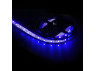 Light strip LEMANSO IP20 5m 60SMD 2835 12V blue 5W/m 6LM/led (price per 1m) / LM587