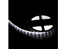 LED strip LEMANSO IP65 5m 60SMD 2835 12V white 5W/m 360LM / LM589