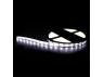 LED strip LEMANSO IP65 5m 60SMD 5050 12V white 10W/m 12LM/led (price per 1m) / LMA9304