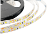 LED strip 2835-120led-12V IP65 white (ST-12-2835-120-CW-65) OEM