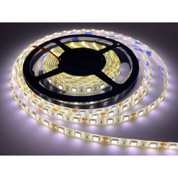 LED strip 5050-60led-12V IP65 white (ST-12-5050-60-CW-65-V2) OEM