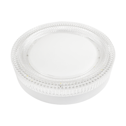 LED round surface mounted lamp 24W 175-265V 5000K (BYR-03-24-5) Biom