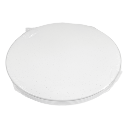 LED round surface-mounted lamp 24W 175-265V 5000K without d/u (DL-R106-24-5) Biom