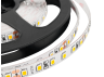 LED strip 2835-120led-8mm-24V 9W/m IP20 warm white (AVT-600WW2835-24V) AVT