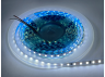 LED strip 3528-120led-5mm-12V 9.6W/m IP20 9000-12000K (AVT-600CW-3528-IP20-12-5mm) AVT
