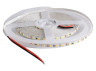 LED strip 2835-120led-4mm-12V 9W/m IP20 7000-7500K cold white 3 years warranty NARROW BIOM