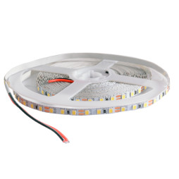LED strip 2835-120led-5mm-12V 9W/m IP20 7000-7500K cool white 3 years warranty BPS-G3 NARROW BIOM