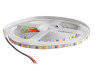 LED strip 2835-120led-5mm-12V 9W/m IP20 7000-7500K cool white 3 years warranty BPS-G3 NARROW BIOM