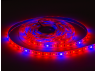 LED phytostrip 5050-60led-12V 12W/m IP65 18LM/LED / LM870 (4*red. 1*blue) Lemanso