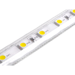 LED strip 5050-60led-10mm-220V 14.4W/m IP68 white LEDUA