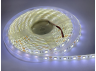 LED strip 5050-60led-10mm-12V IP65 white (МТК-300W-F-5050-12) MTK (1015436)