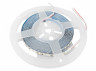 LED strip 3528-120led-8mm-12V 14W/m IP20 double board white AVT-Prof 2 years warranty