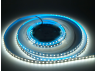 LED strip 3528-120led-8mm-12V 14W/m IP20 double board white AVT-Prof 2 years warranty