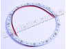 Angel eyes 39smd 3528 diameter 120mm 12V LEDUA