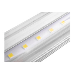 LED lamp T8 1200mm 6500k 220V, transparent