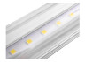 LED lamp T8 1200mm 6500k 220V, transparent