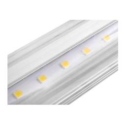 LED lamp T8 600mm 6500k 220V, transparent