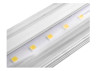 LED lamp T8 600mm 6500k 220V, transparent