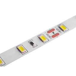 LED strip 5630-60led-10mm-12V,14.4W/m IP20 25-30lm double board white 2 years warranty LEDUA